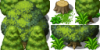 tree.png