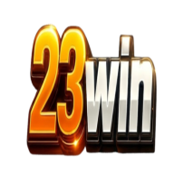 23winsscom11