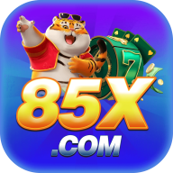 85xnetbr